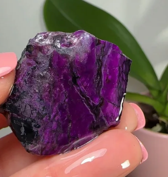 (Photos) Gel Sugilite Rough 12.3g Pure Gems Minerals & Design