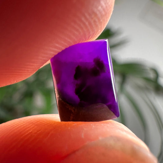 Gel Sugilite Cabochon 2.5ct Pure Gems Minerals & Design