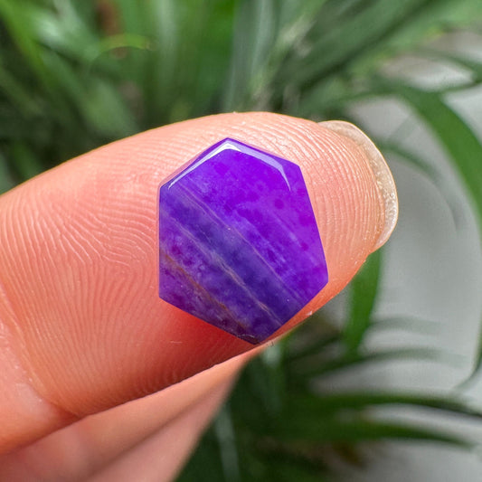 Gel Sugilite Cabochon 2ct Pure Gems Minerals & Design